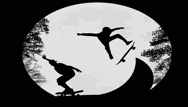 Skate Denmark fls